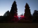 METAPHORS (2021), Villa Cernigliaro, Sordevolo (IT) – Pavel Korbička, site-specific instllation, neon glass tubes, trees, Alps, 1200 cm